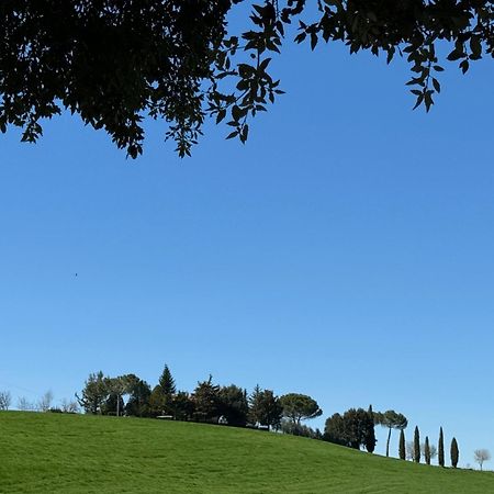 Orvieto Country House Castiglione In Teverina Ngoại thất bức ảnh