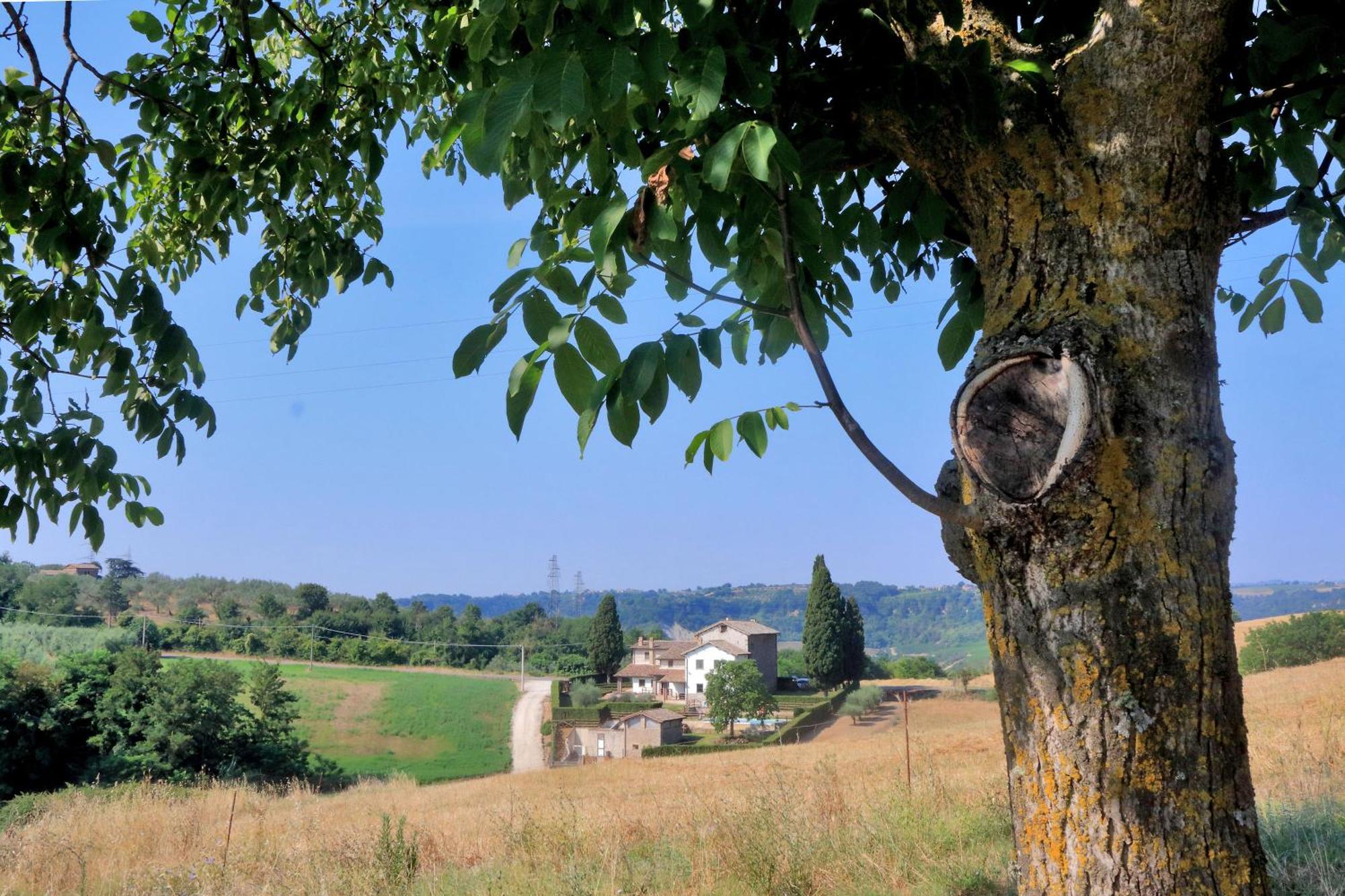 Orvieto Country House Castiglione In Teverina Ngoại thất bức ảnh