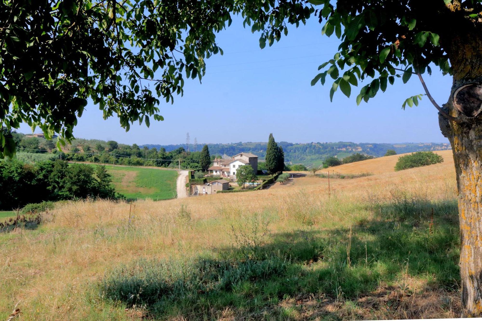 Orvieto Country House Castiglione In Teverina Ngoại thất bức ảnh