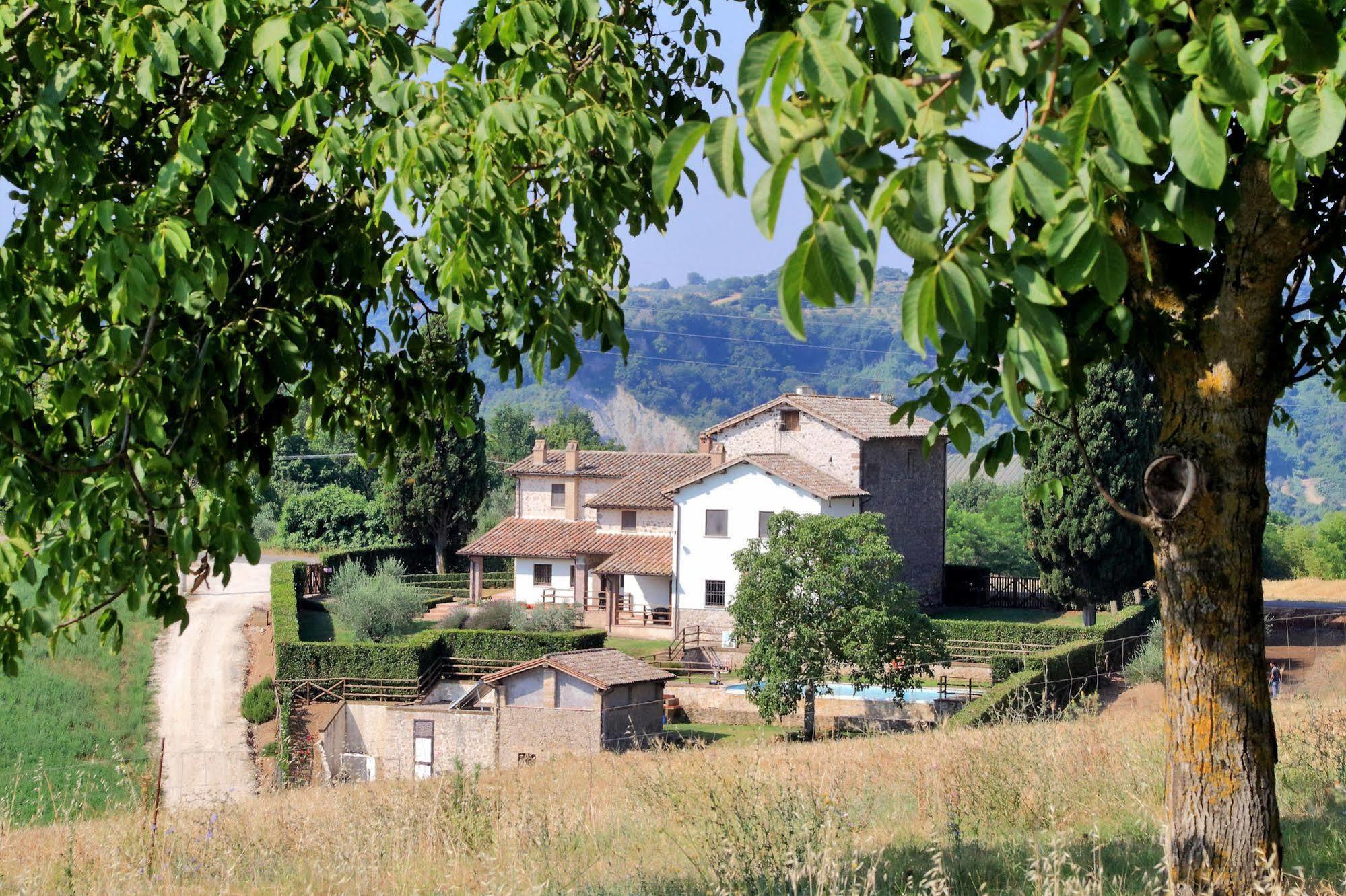 Orvieto Country House Castiglione In Teverina Ngoại thất bức ảnh