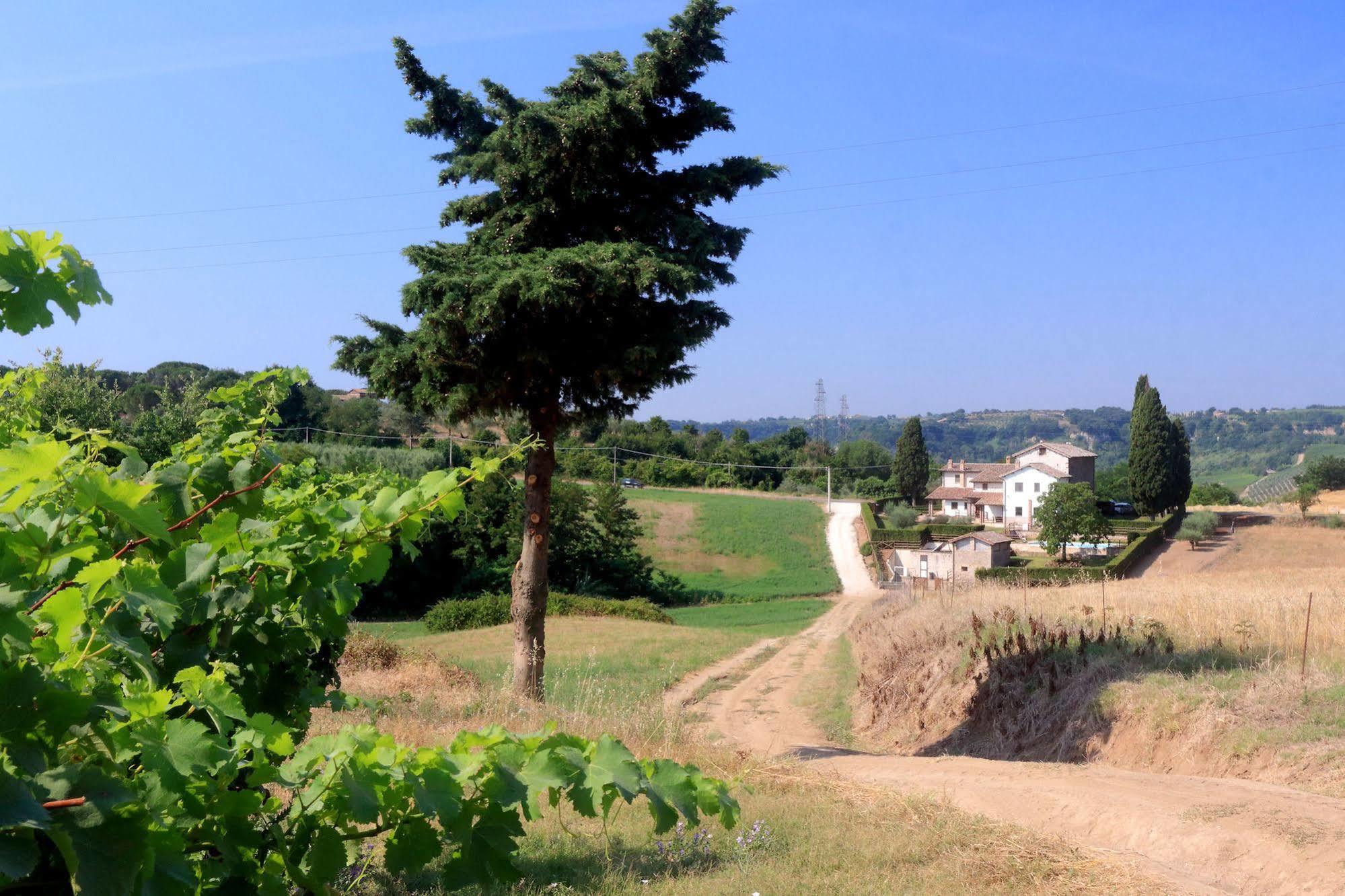 Orvieto Country House Castiglione In Teverina Ngoại thất bức ảnh